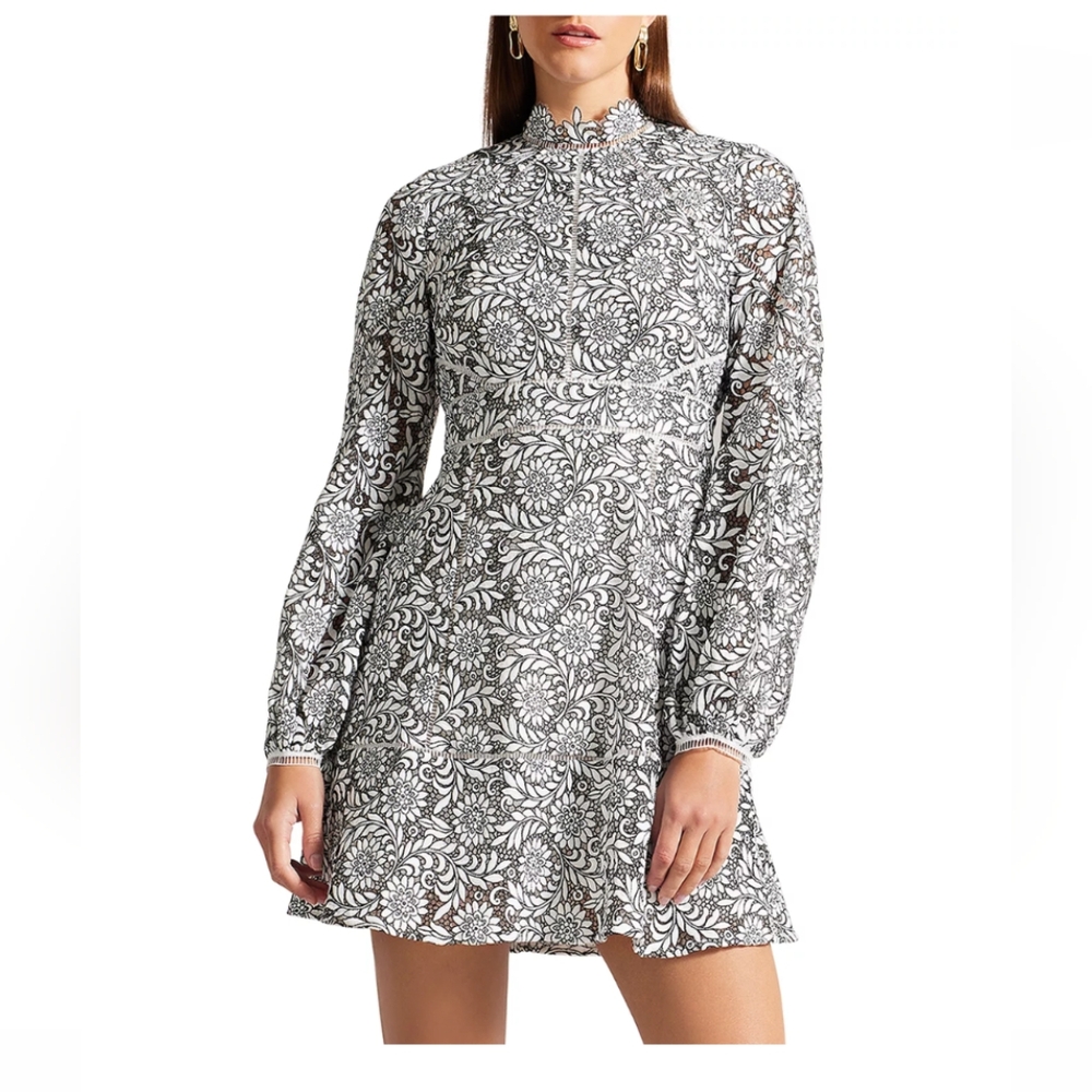 Ted Baker Hudsyn Fit and Flare Mini Dress With Ladder Trim
